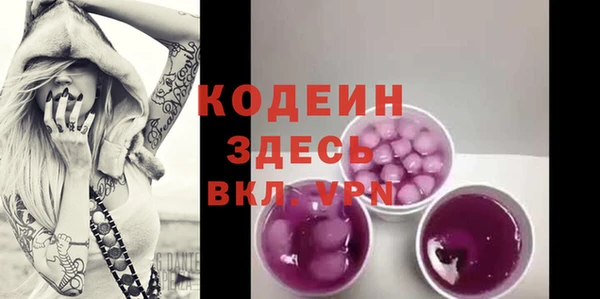 сатива Арсеньев
