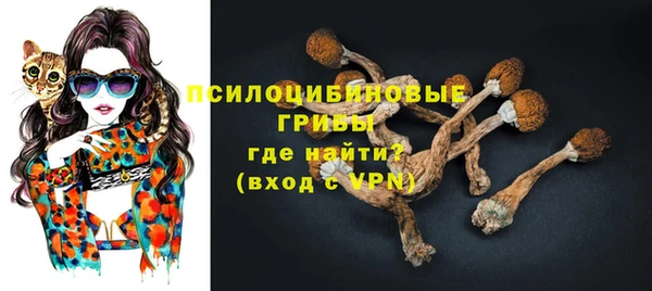 дживик Аркадак