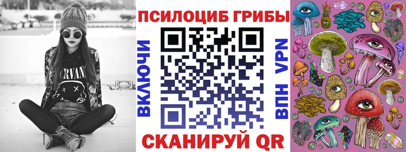 omg сайт  Тавда  Псилоцибиновые грибы GOLDEN TEACHER 